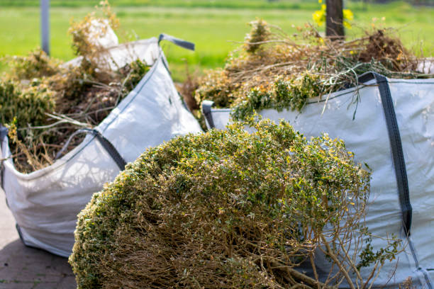 Yard Cleanup Services in Westwood, PA